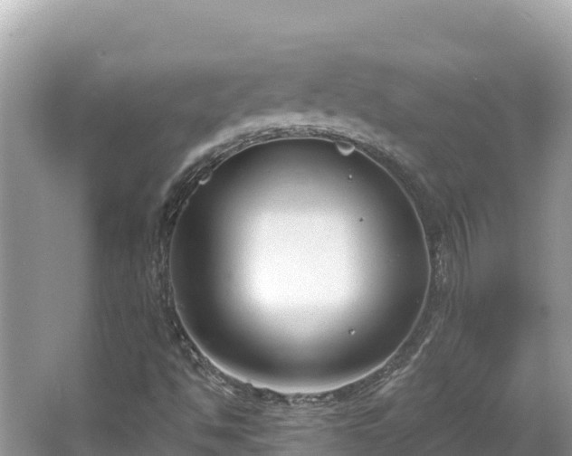 X0000067491494200604101241