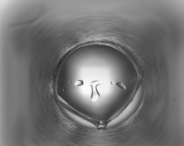 X0000067491497200604101241