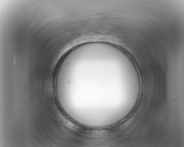 X0000067491498200604101241