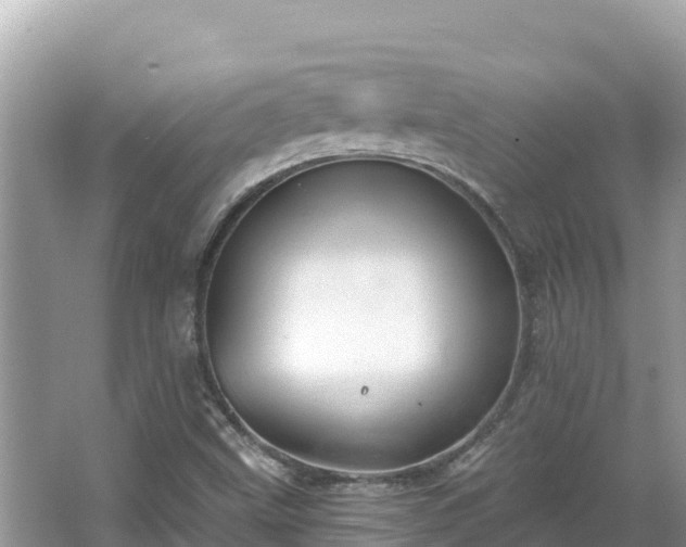 X0000067491499200604101241