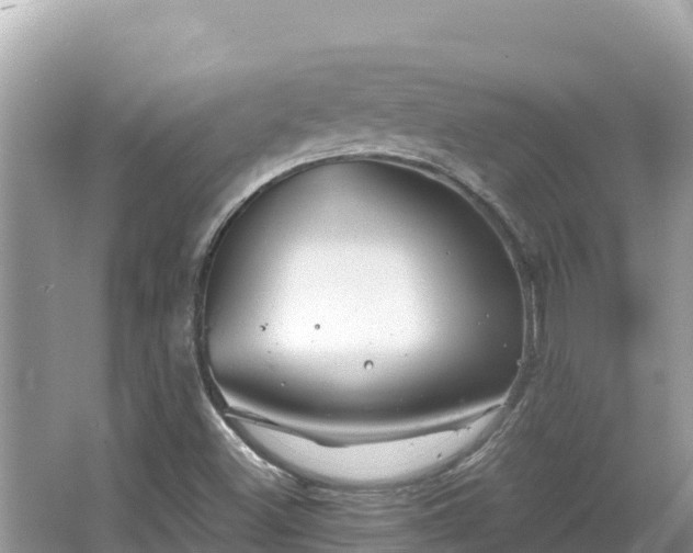 X0000067491500200604101241