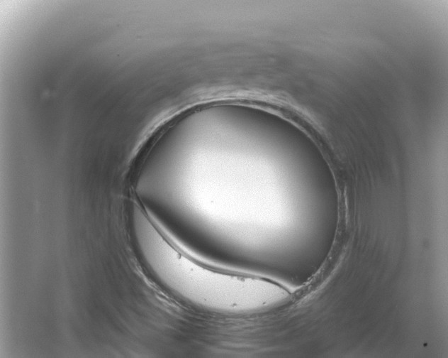 X0000067491501200604101241