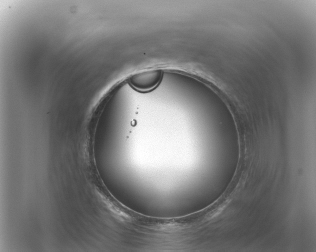 X0000067491502200604101241