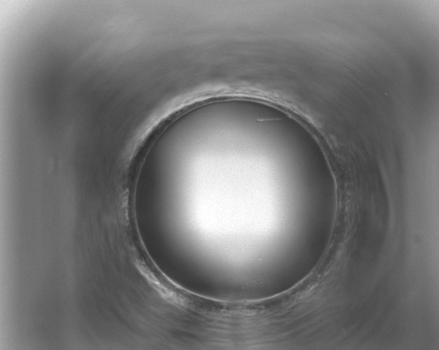 X0000067491503200604101241