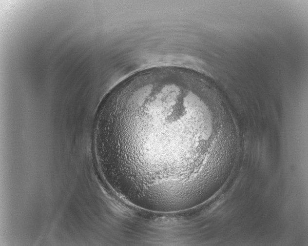 X0000067491505200604101241