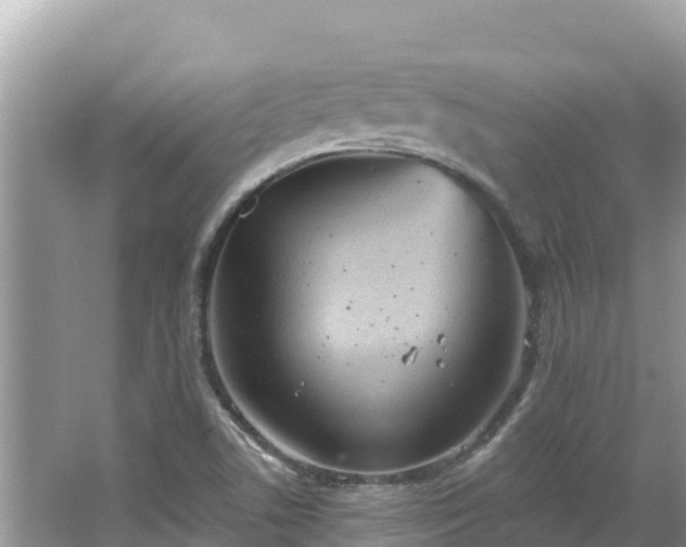 X0000067491506200604101241