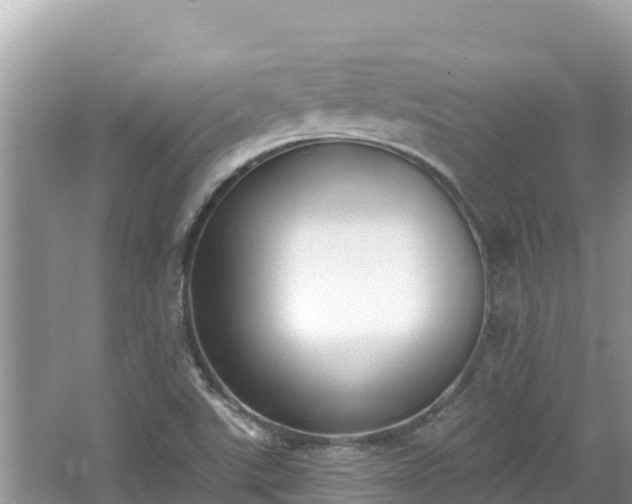 X0000067491507200604101241