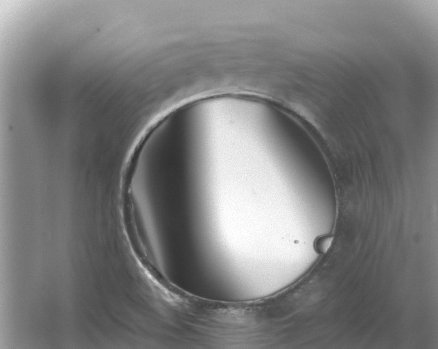 X0000067491508200604101241