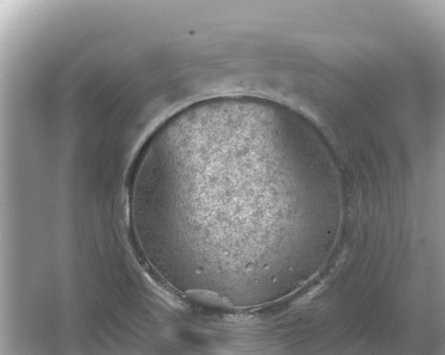 X0000067491509200604101241