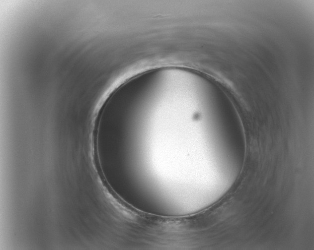 X0000067491512200604101242