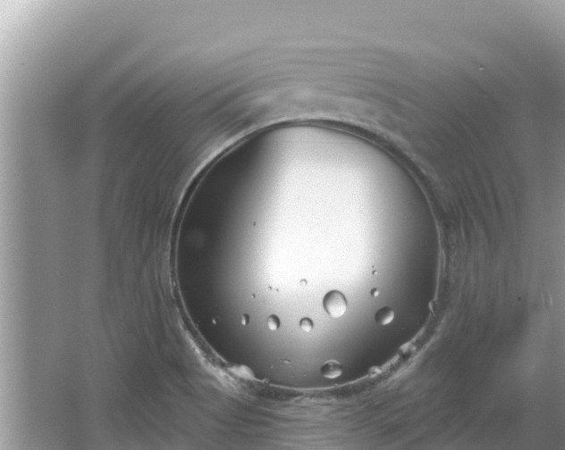 X0000067491513200604101242