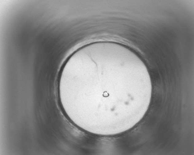 X0000067491514200604101242