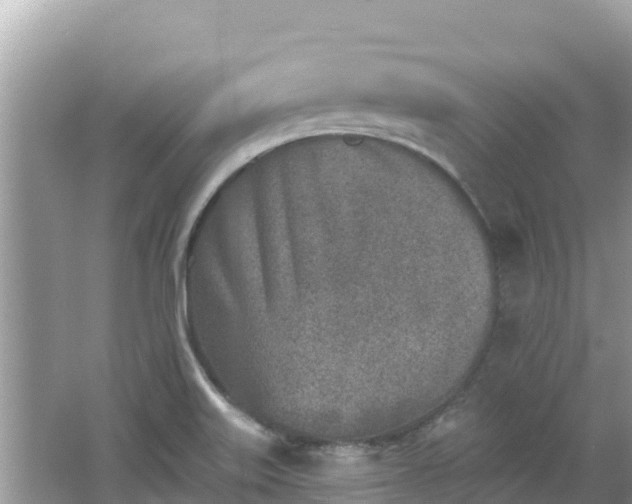 X0000067491515200604101242