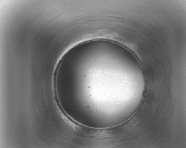 X0000067491516200604101242