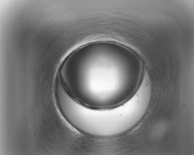 X0000067491518200604101242