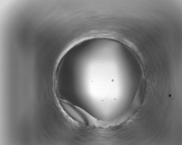 X0000067491520200604101242