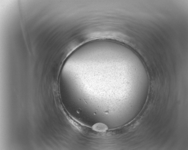 X0000067491521200604101242