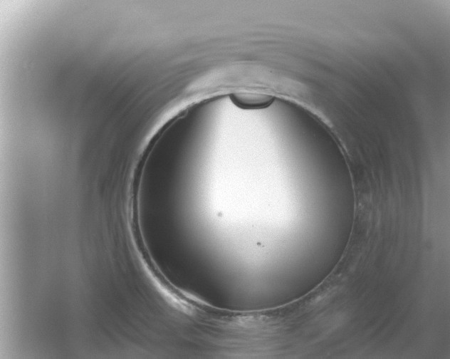 X0000067491523200604101242