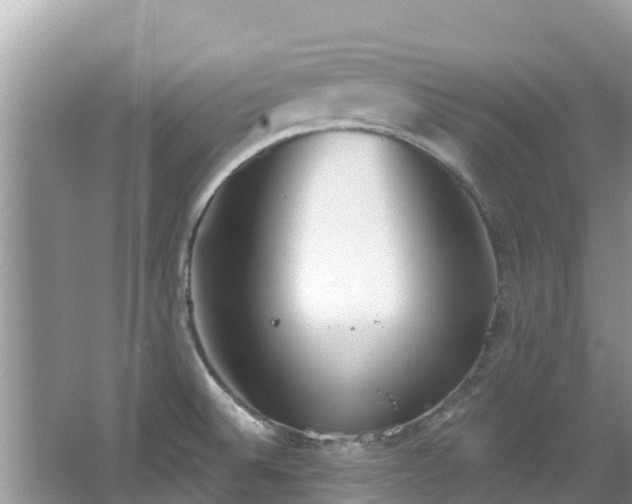 X0000067491524200604101242