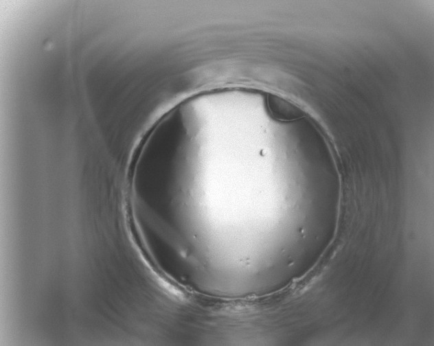 X0000067491525200604101242