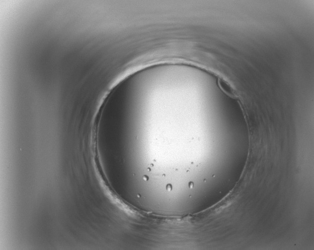 X0000067491526200604101242