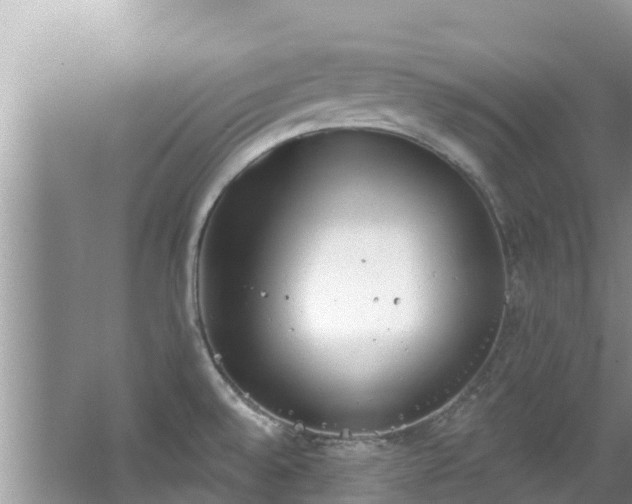 X0000067491528200604101242