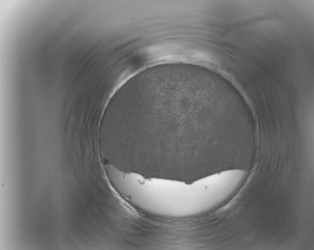 X0000067491529200604101242