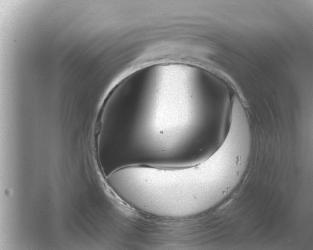 X0000067491530200604101242