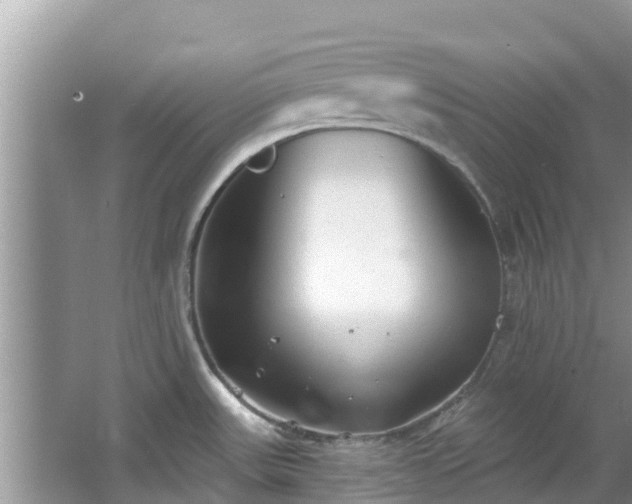 X0000067491531200604101242