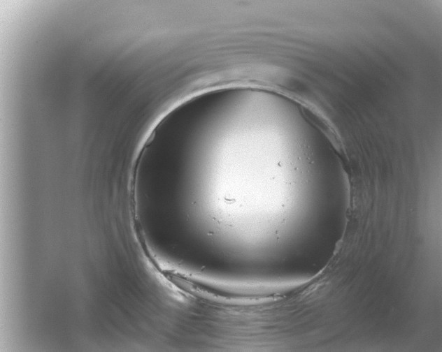 X0000067491532200604101242