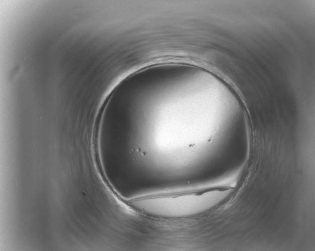 X0000067491533200604101242