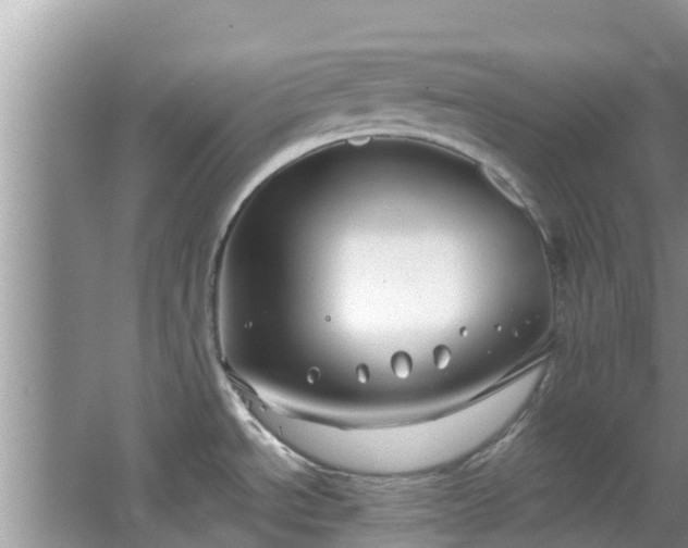 X0000067491534200604101242