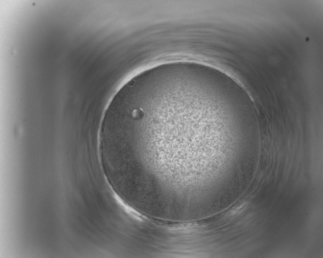 X0000067491535200604101242