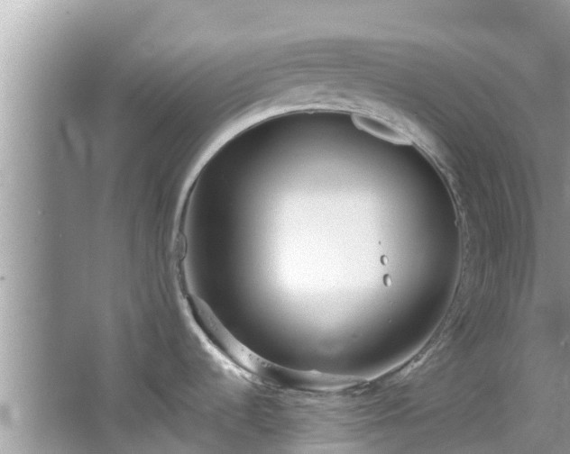 X0000067491536200604101242