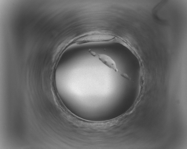 X0000067490001200604150054