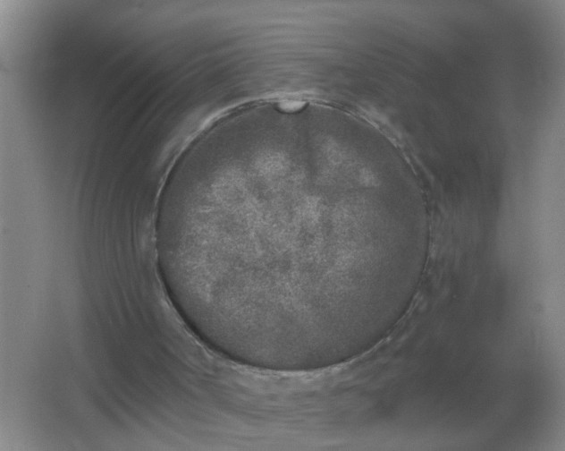 X0000067490002200604150054