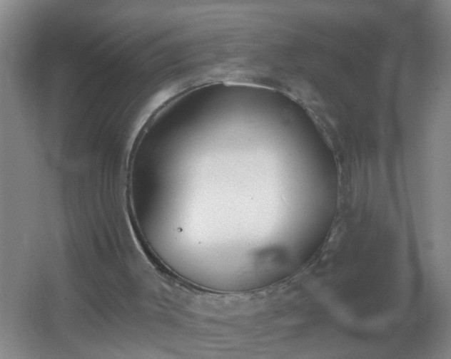 X0000067490003200604150054