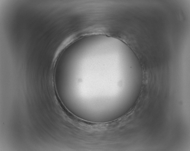 X0000067490004200604150054