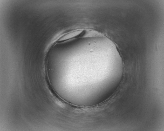 X0000067490005200604150054