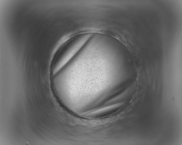 X0000067490006200604150054