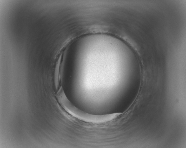 X0000067490009200604150054