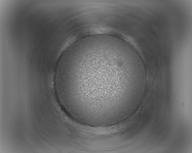 X0000067490010200604150054