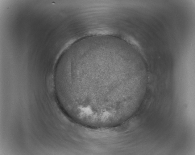 X0000067490012200604150054