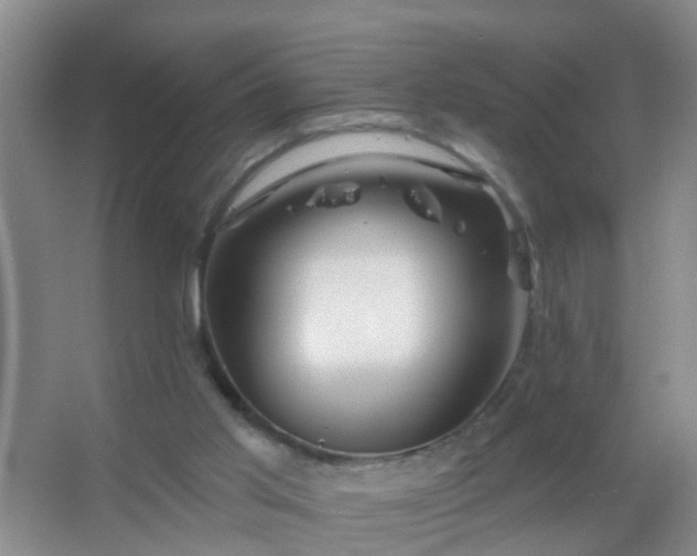 X0000067490013200604150053