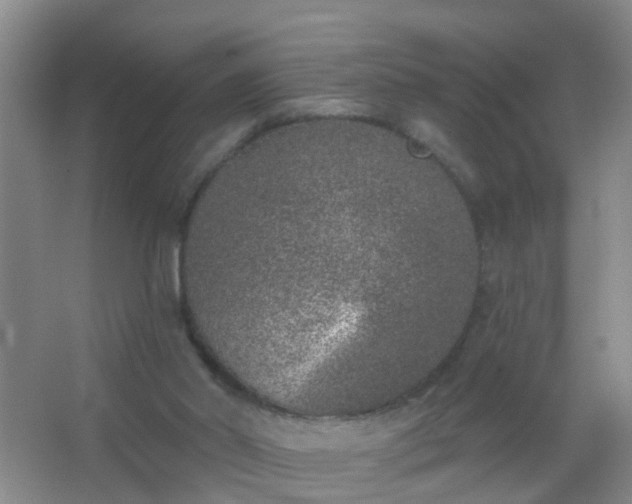 X0000067490014200604150053