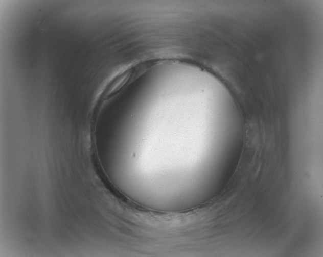 X0000067490015200604150053