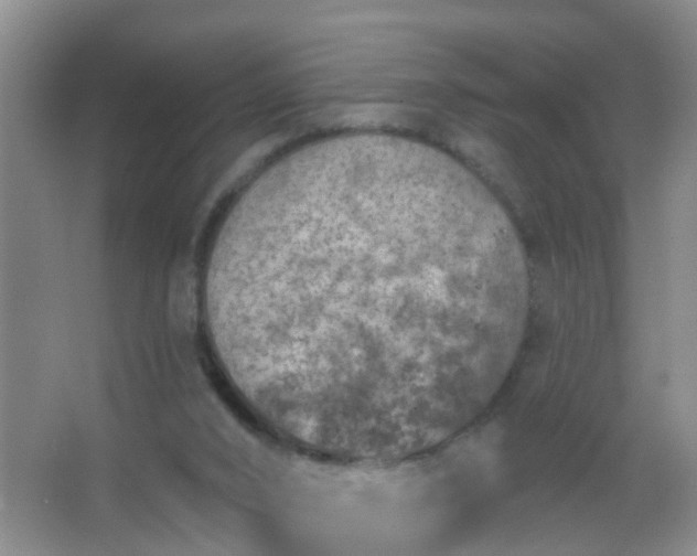 X0000067490016200604150053