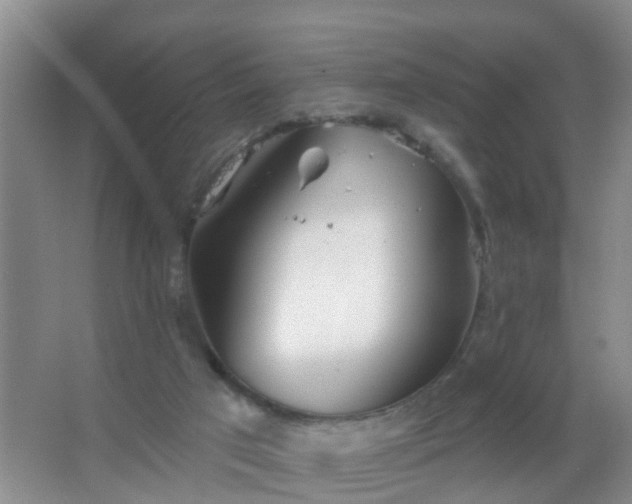 X0000067490017200604150053