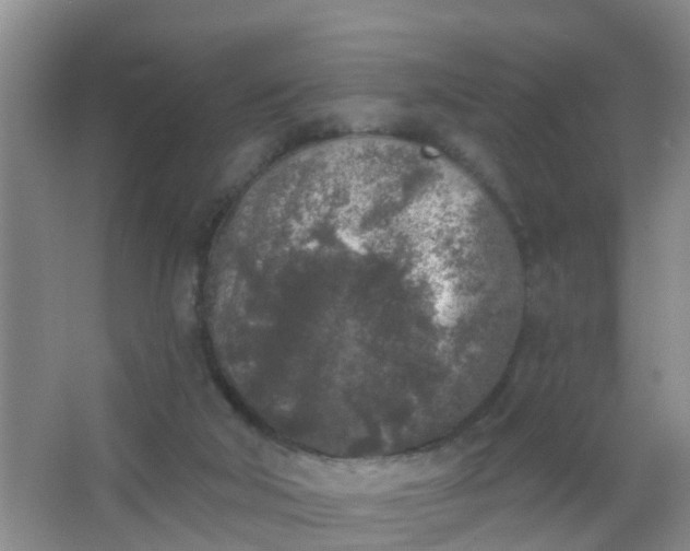 X0000067490018200604150053