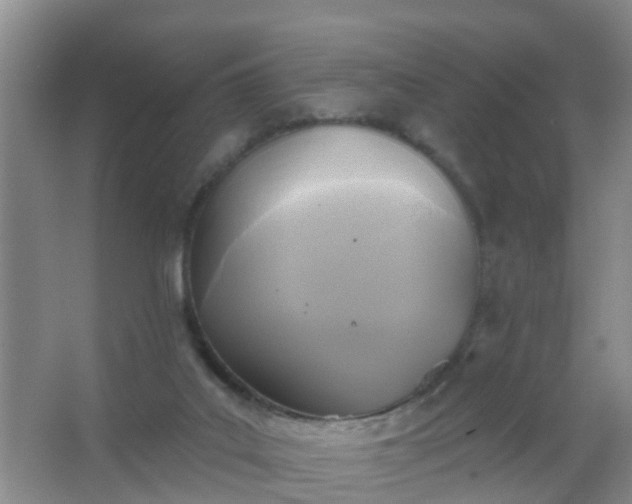 X0000067490019200604150053